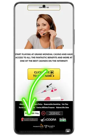 Find the license in the website footer Sister Casino Site