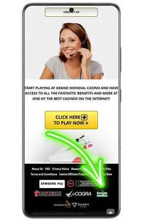 Find the name of the affiliate network at the bottom of the Sister Casino Site